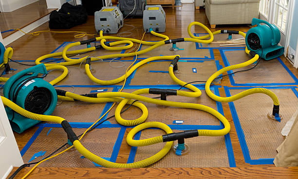 Professional Structural Drying And Dehumidification technician working in Oak Hill, FL